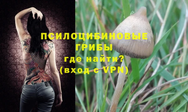стаф Балахна