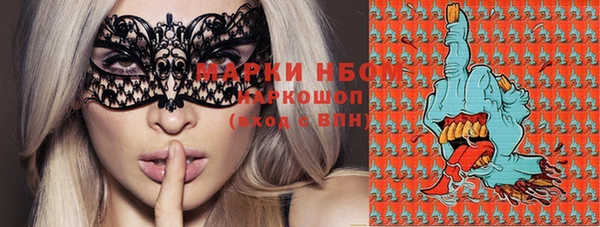 стаф Балахна