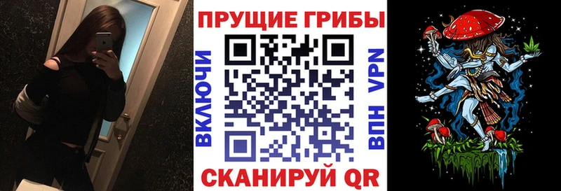 Псилоцибиновые грибы мухоморы Пугачёв